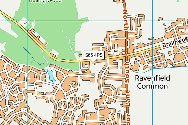 Hollings Lane Field map (S65 4PS) - OS VectorMap District (Ordnance Survey)