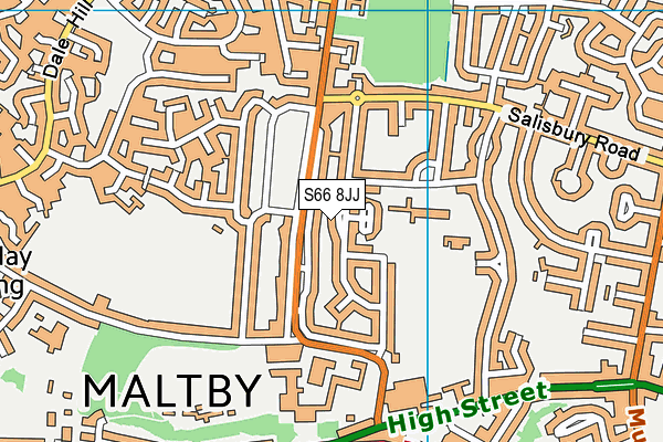 S66 8JJ map - OS VectorMap District (Ordnance Survey)