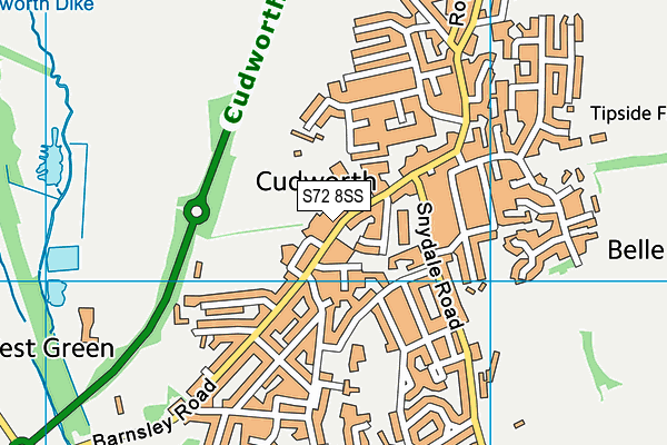 S72 8SS map - OS VectorMap District (Ordnance Survey)