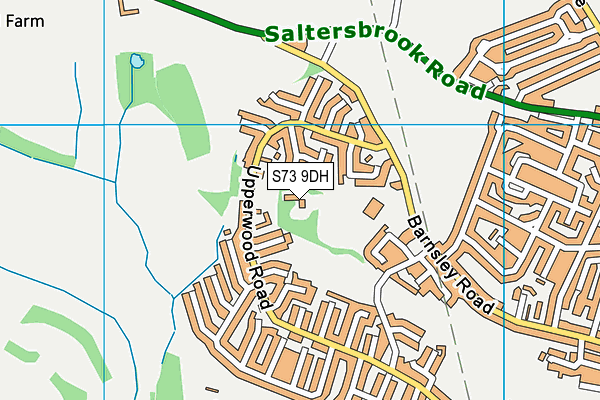 S73 9DH map - OS VectorMap District (Ordnance Survey)