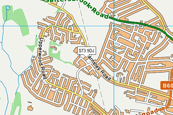 S73 9DJ map - OS VectorMap District (Ordnance Survey)