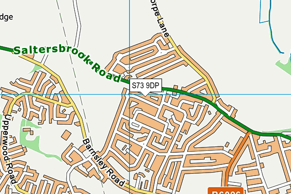 S73 9DP map - OS VectorMap District (Ordnance Survey)