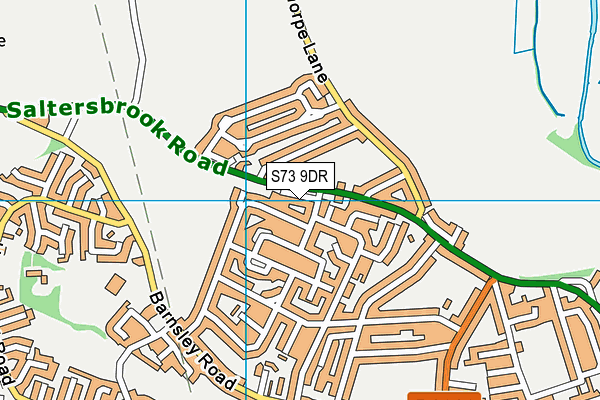 S73 9DR map - OS VectorMap District (Ordnance Survey)