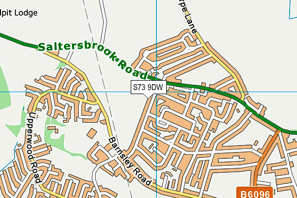 S73 9DW map - OS VectorMap District (Ordnance Survey)