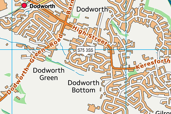 S75 3SS map - OS VectorMap District (Ordnance Survey)