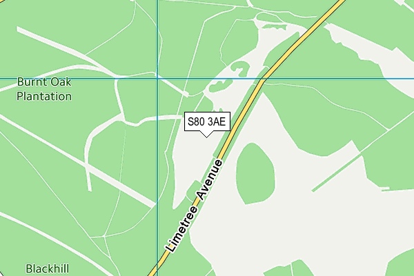 S80 3AE map - OS VectorMap District (Ordnance Survey)