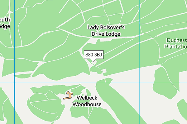 S80 3BJ map - OS VectorMap District (Ordnance Survey)