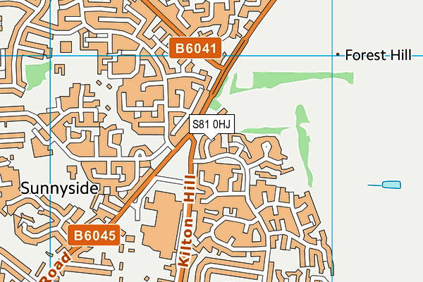 S81 0HJ map - OS VectorMap District (Ordnance Survey)