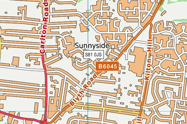 S81 0JS map - OS VectorMap District (Ordnance Survey)