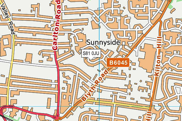S81 0JU map - OS VectorMap District (Ordnance Survey)