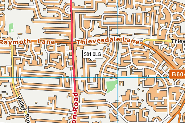 S81 0LG map - OS VectorMap District (Ordnance Survey)