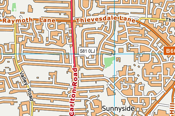 S81 0LJ map - OS VectorMap District (Ordnance Survey)