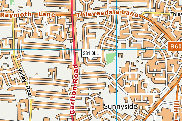 S81 0LL map - OS VectorMap District (Ordnance Survey)