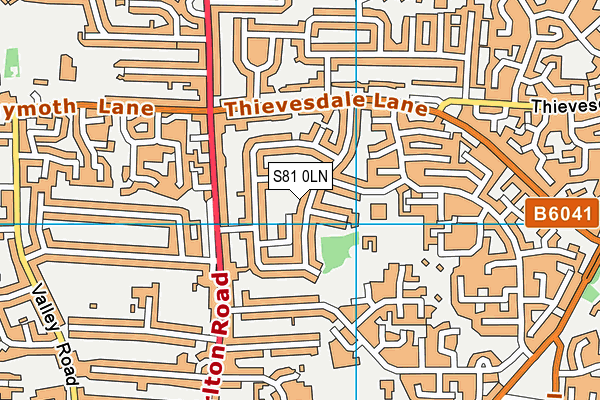 S81 0LN map - OS VectorMap District (Ordnance Survey)