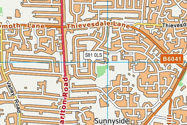 S81 0LS map - OS VectorMap District (Ordnance Survey)