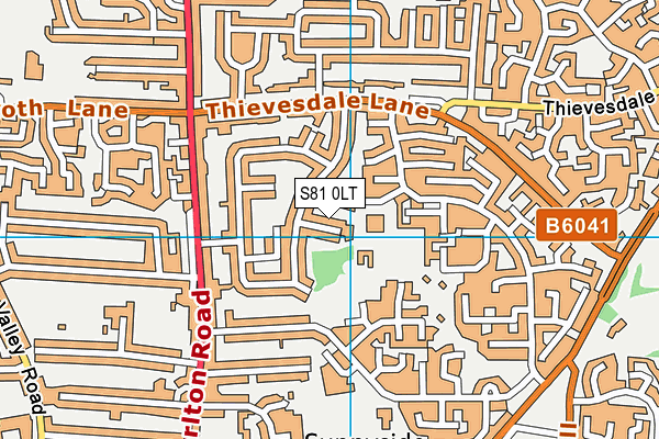 S81 0LT map - OS VectorMap District (Ordnance Survey)