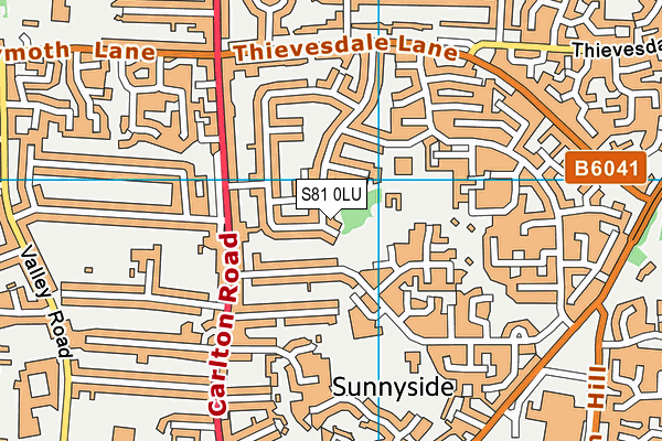 S81 0LU map - OS VectorMap District (Ordnance Survey)