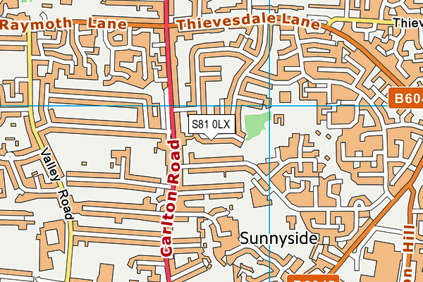 S81 0LX map - OS VectorMap District (Ordnance Survey)