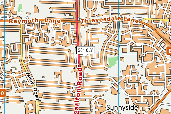 S81 0LY map - OS VectorMap District (Ordnance Survey)