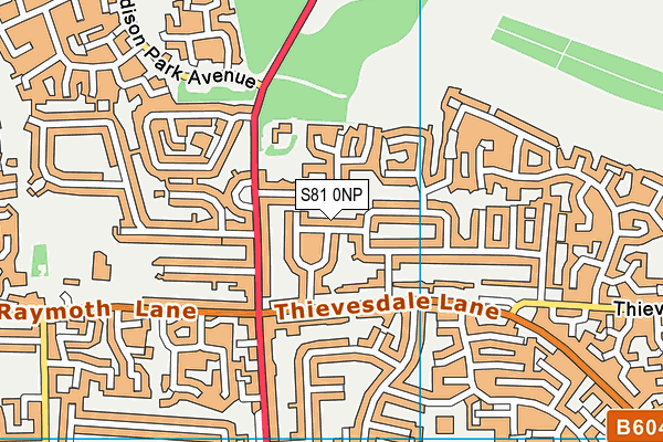 S81 0NP map - OS VectorMap District (Ordnance Survey)