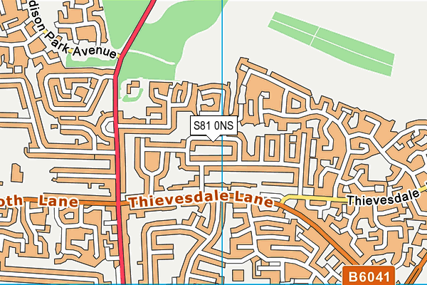 S81 0NS map - OS VectorMap District (Ordnance Survey)