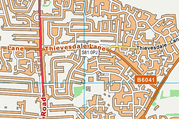 S81 0PJ map - OS VectorMap District (Ordnance Survey)