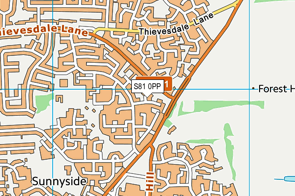 S81 0PP map - OS VectorMap District (Ordnance Survey)