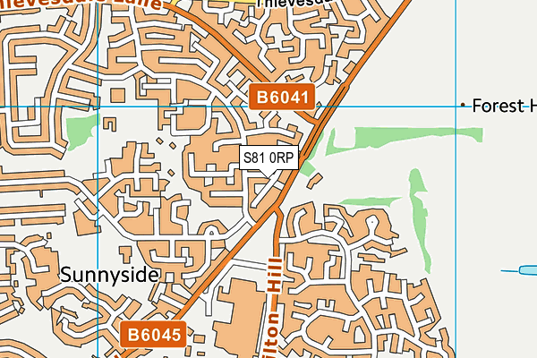 S81 0RP map - OS VectorMap District (Ordnance Survey)