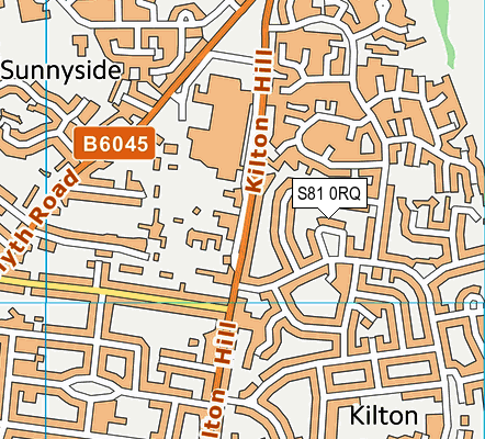 S81 0RQ map - OS VectorMap District (Ordnance Survey)