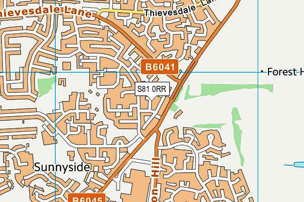 S81 0RR map - OS VectorMap District (Ordnance Survey)