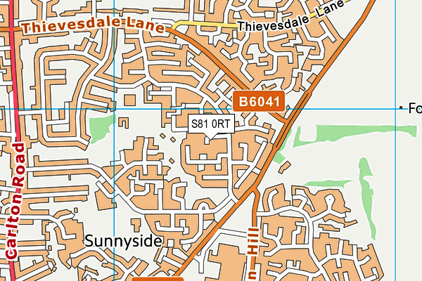 S81 0RT map - OS VectorMap District (Ordnance Survey)