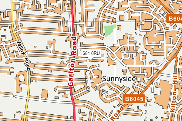 S81 0RU map - OS VectorMap District (Ordnance Survey)