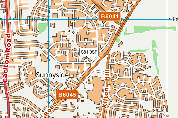 S81 0SF map - OS VectorMap District (Ordnance Survey)