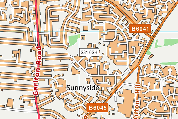 S81 0SH map - OS VectorMap District (Ordnance Survey)