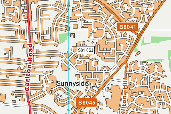 S81 0SJ map - OS VectorMap District (Ordnance Survey)