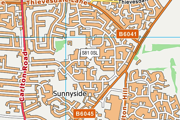 S81 0SL map - OS VectorMap District (Ordnance Survey)