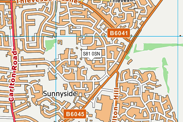 S81 0SN map - OS VectorMap District (Ordnance Survey)