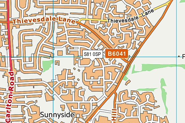 S81 0SP map - OS VectorMap District (Ordnance Survey)