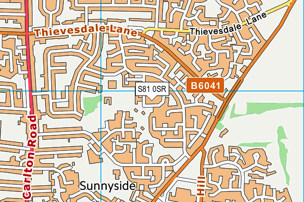 S81 0SR map - OS VectorMap District (Ordnance Survey)