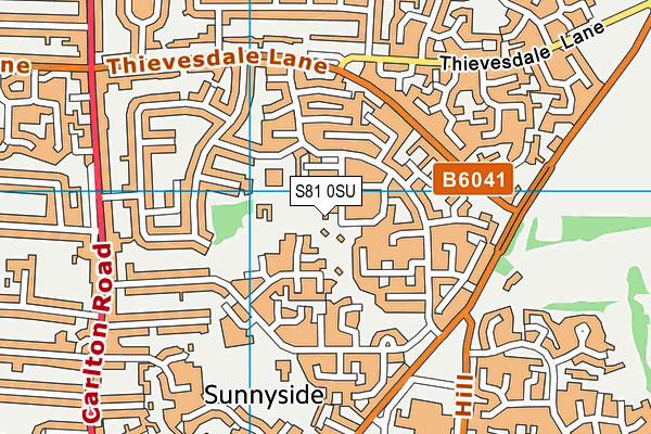S81 0SU map - OS VectorMap District (Ordnance Survey)