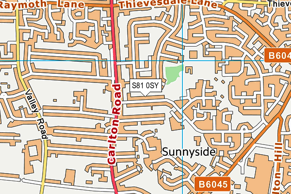 S81 0SY map - OS VectorMap District (Ordnance Survey)