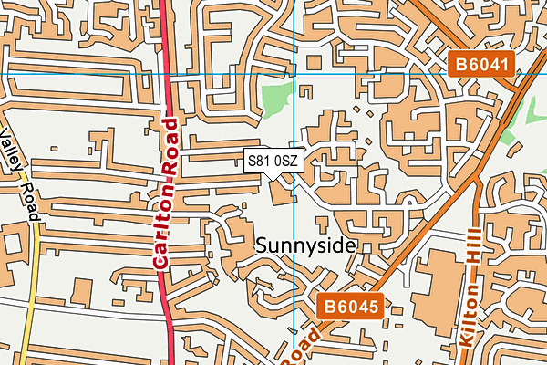 S81 0SZ map - OS VectorMap District (Ordnance Survey)