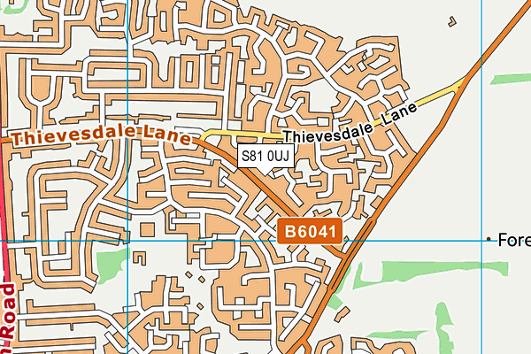 S81 0UJ map - OS VectorMap District (Ordnance Survey)