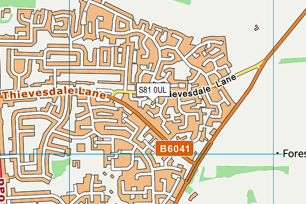 S81 0UL map - OS VectorMap District (Ordnance Survey)