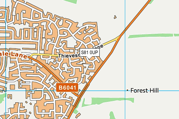 S81 0UP map - OS VectorMap District (Ordnance Survey)