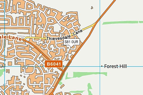 S81 0UR map - OS VectorMap District (Ordnance Survey)