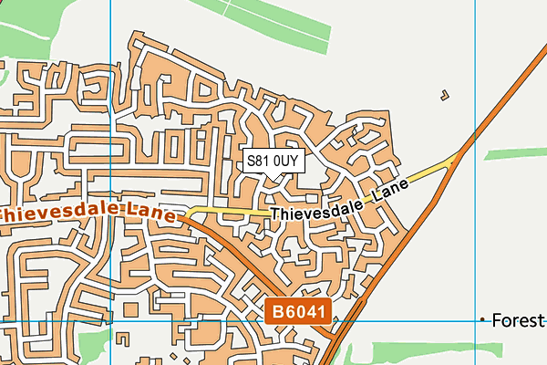 S81 0UY map - OS VectorMap District (Ordnance Survey)