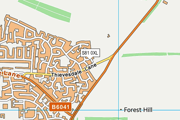 S81 0XL map - OS VectorMap District (Ordnance Survey)