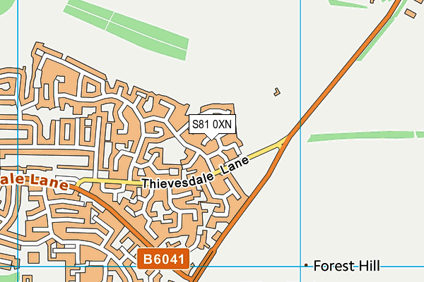 S81 0XN map - OS VectorMap District (Ordnance Survey)