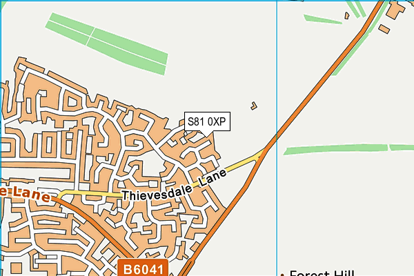 S81 0XP map - OS VectorMap District (Ordnance Survey)